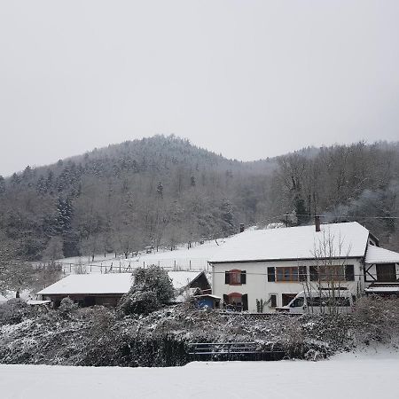 Gîte Le Creux Chêne Rombach-le-Franc Exterior foto