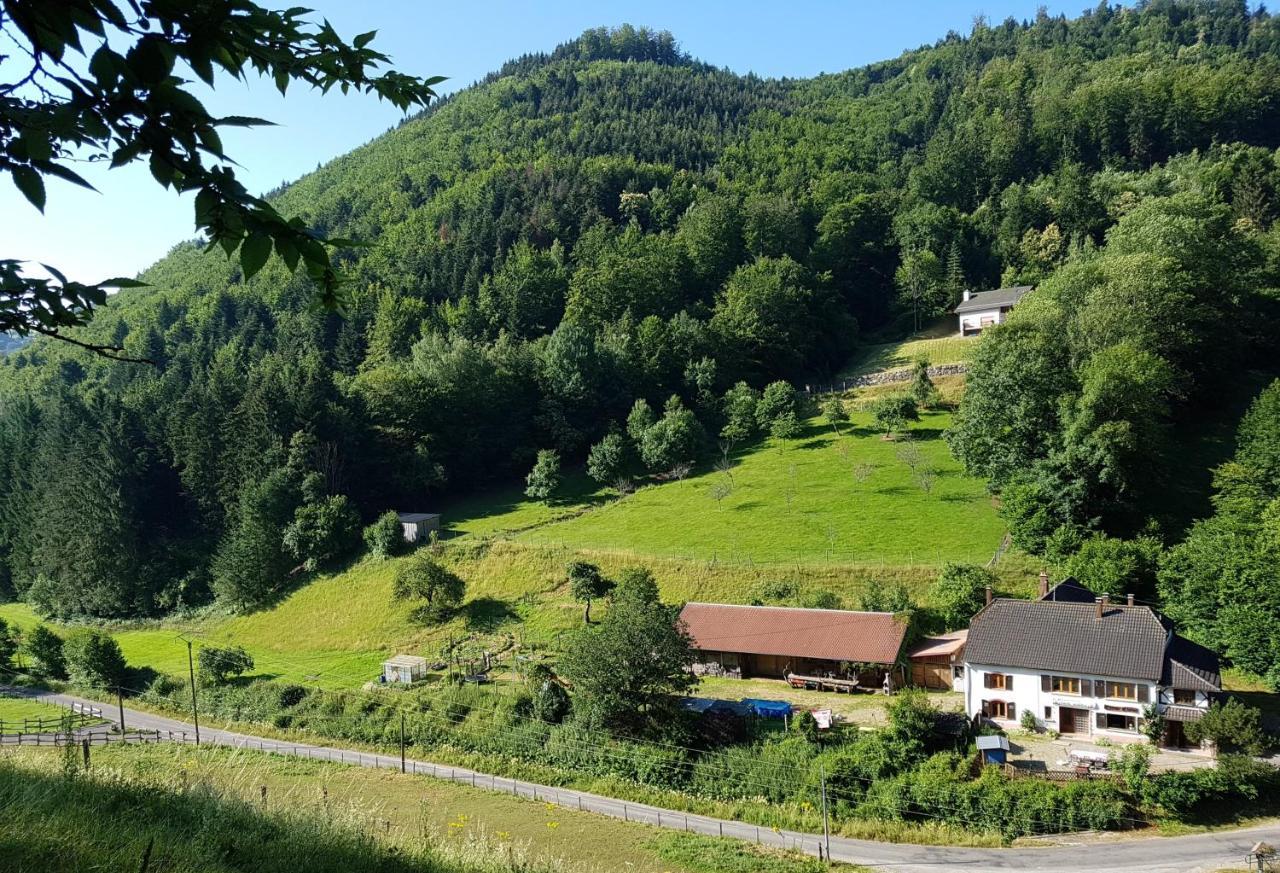 Gîte Le Creux Chêne Rombach-le-Franc Exterior foto