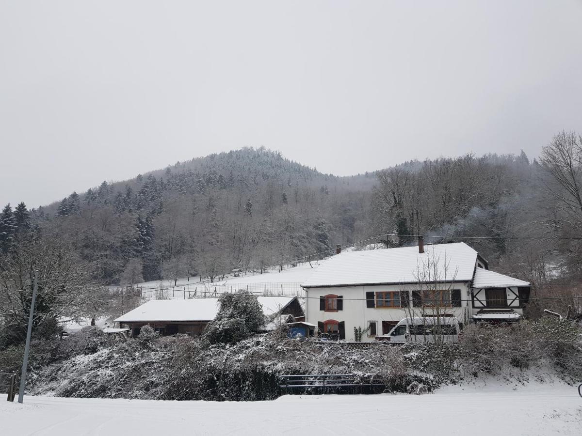 Gîte Le Creux Chêne Rombach-le-Franc Exterior foto